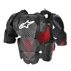 COLETE ALPINESTARS A-10 V2